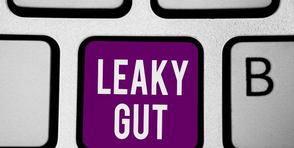 leaky gut prevents a healthy digestive system