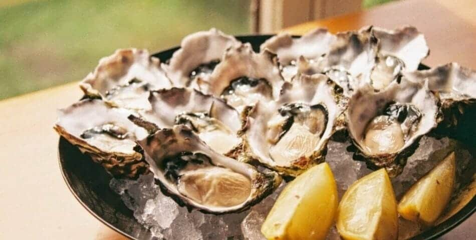 oysters as a source of zinc