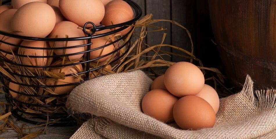 pasture raised eggs