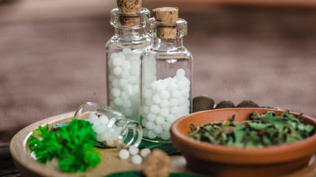 homeopathic remedies for bug bites