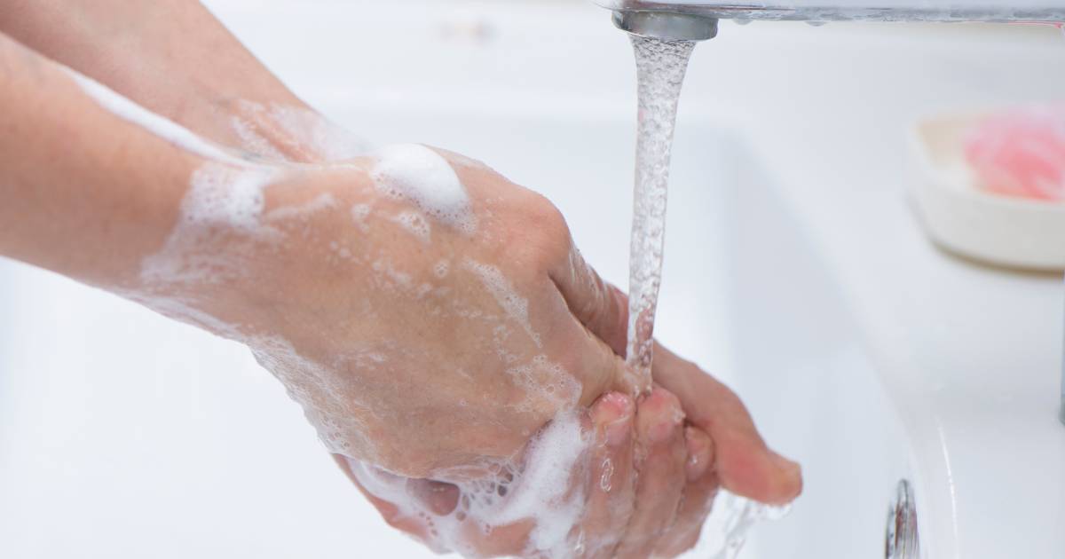 prevent transmission of parasitic infection by washing your hands