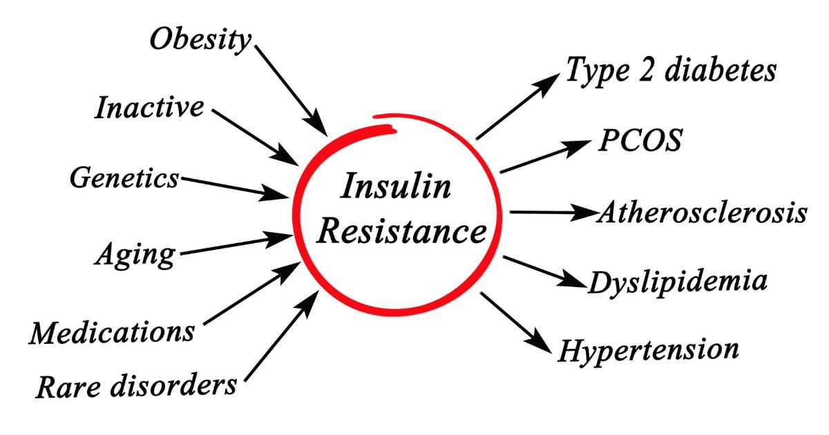 insulin resistance and cholesterol levels
